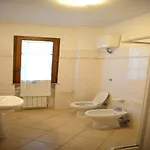 San Francesco 2*